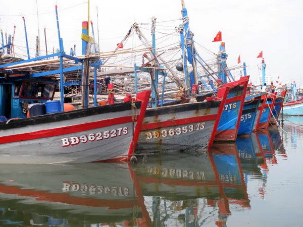 Bình Định: Trăn trở bài toán dạy nghề cho ngư dân (12/02/2017)